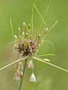 BUITEN BEELD Foto: 304269