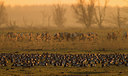 BUITEN BEELD Foto: 304312