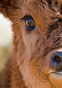 BUITEN BEELD Foto: 304316