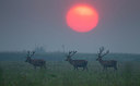 BUITEN BEELD Foto: 304319