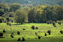 BUITEN BEELD Foto: 304357