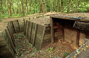 BUITEN BEELD Foto: 304362
