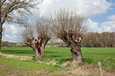 BUITEN BEELD Foto: 304404
