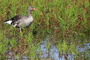 BUITEN BEELD Foto: 304449