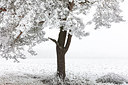 BUITEN BEELD Foto: 304457