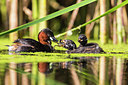 BUITEN BEELD Foto: 304591