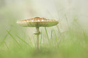 BUITEN BEELD Foto: 304617