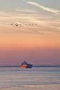 BUITEN BEELD Foto: 304627