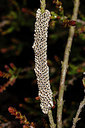 BUITEN BEELD Foto: 304631