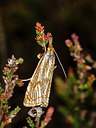 BUITEN BEELD Foto: 304633