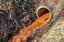 BUITEN BEELD Foto: 304681