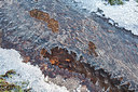 BUITEN BEELD Foto: 304682