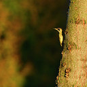 BUITEN BEELD Foto: 304810