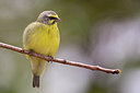 BUITEN BEELD Foto: 304879