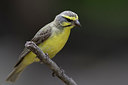 BUITEN BEELD Foto: 304882