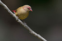 BUITEN BEELD Foto: 304899