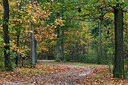 BUITEN BEELD Foto: 304920
