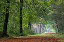 BUITEN BEELD Foto: 304921