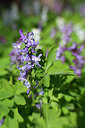 BUITEN BEELD Foto: 304940