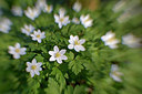 BUITEN BEELD Foto: 304954