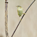 BUITEN BEELD Foto: 304959