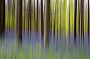 BUITEN BEELD Foto: 305023