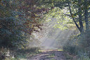 BUITEN BEELD Foto: 305032