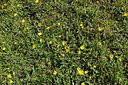 BUITEN BEELD Foto: 305177