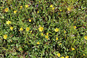 BUITEN BEELD Foto: 305178