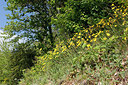 BUITEN BEELD Foto: 305179