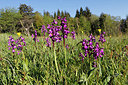 BUITEN BEELD Foto: 305296