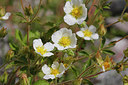 BUITEN BEELD Foto: 305306