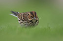 BUITEN BEELD Foto: 305365