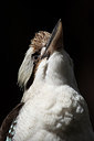 BUITEN BEELD Foto: 305419