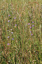 BUITEN BEELD Foto: 305429