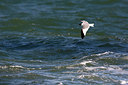 BUITEN BEELD Foto: 305473