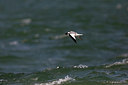 BUITEN BEELD Foto: 305474