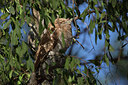 BUITEN BEELD Foto: 305494