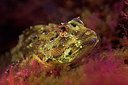 BUITEN BEELD Foto: 305603