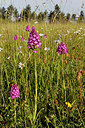 BUITEN BEELD Foto: 305741