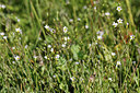 BUITEN BEELD Foto: 305742