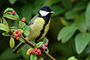BUITEN BEELD Foto: 305771
