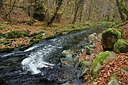 BUITEN BEELD Foto: 305816