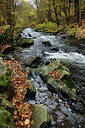 BUITEN BEELD Foto: 305817