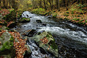 BUITEN BEELD Foto: 305910