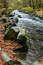 BUITEN BEELD Foto: 305911