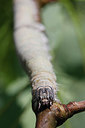 BUITEN BEELD Foto: 305953