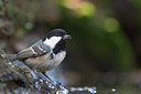 BUITEN BEELD Foto: 305985