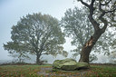 BUITEN BEELD Foto: 306063