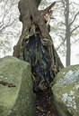 BUITEN BEELD Foto: 306065